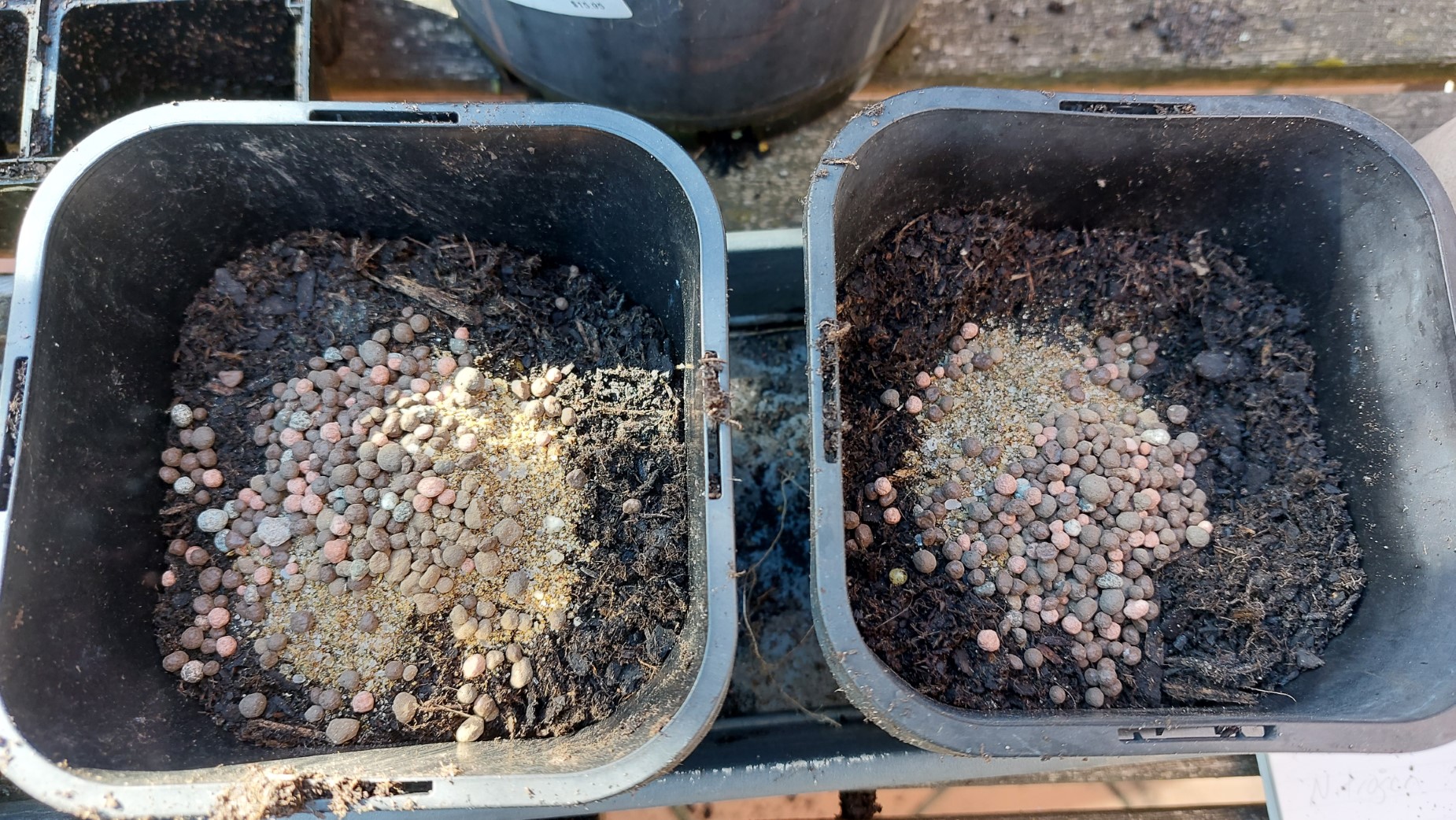 Fertiliser dumped into the pots